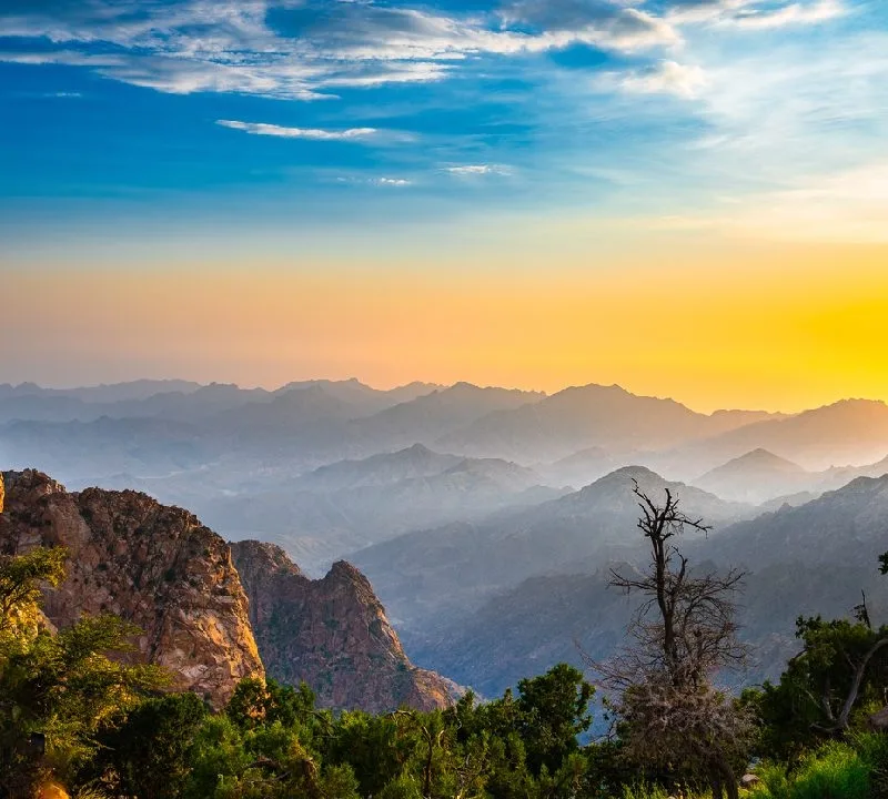 Taif: Guia Completo da Cidade Jardim da Arábia Saudita [2025]